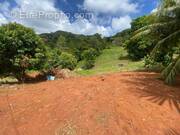 Terrain à LE VAUCLIN