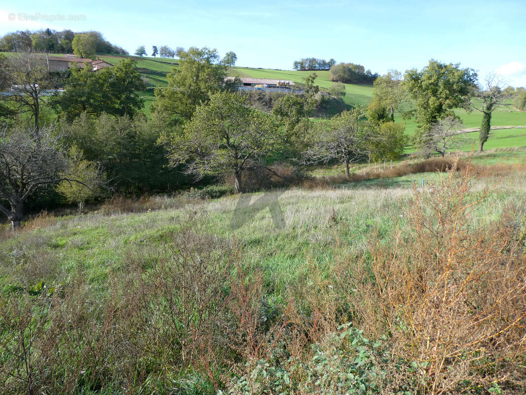 Terrain à SAINT-LAURENT-DE-CHAMOUSSET