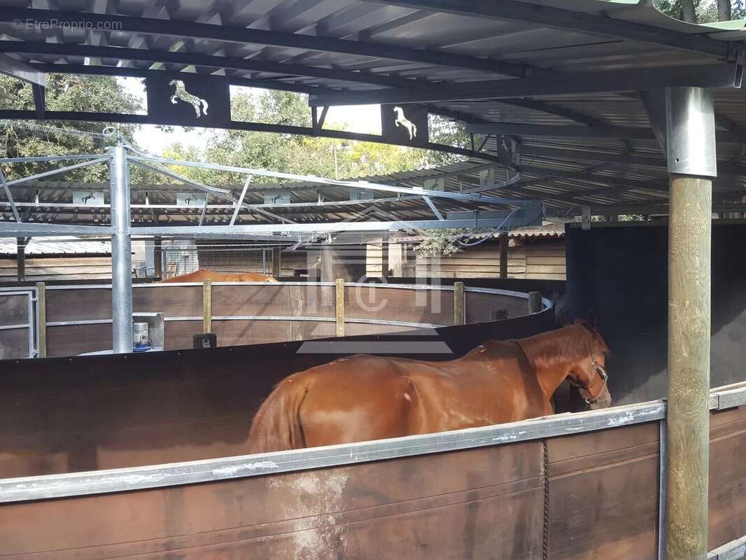 Commerce à MONTAUROUX