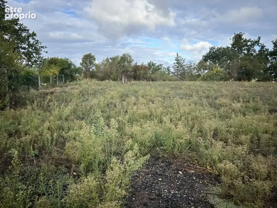 Terrain 600 m² à vendre à Peyssies (31390) - photo 2