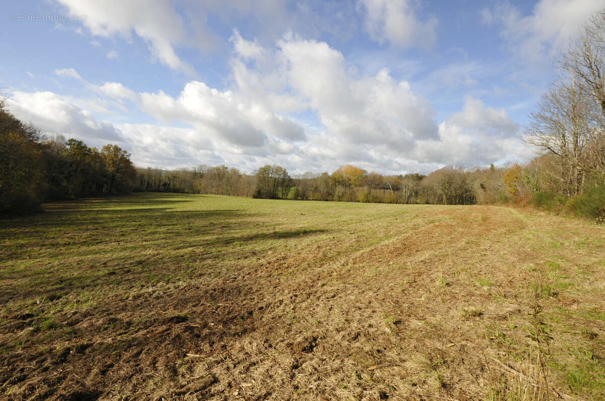 Terrain à VICQ-SUR-BREUILH