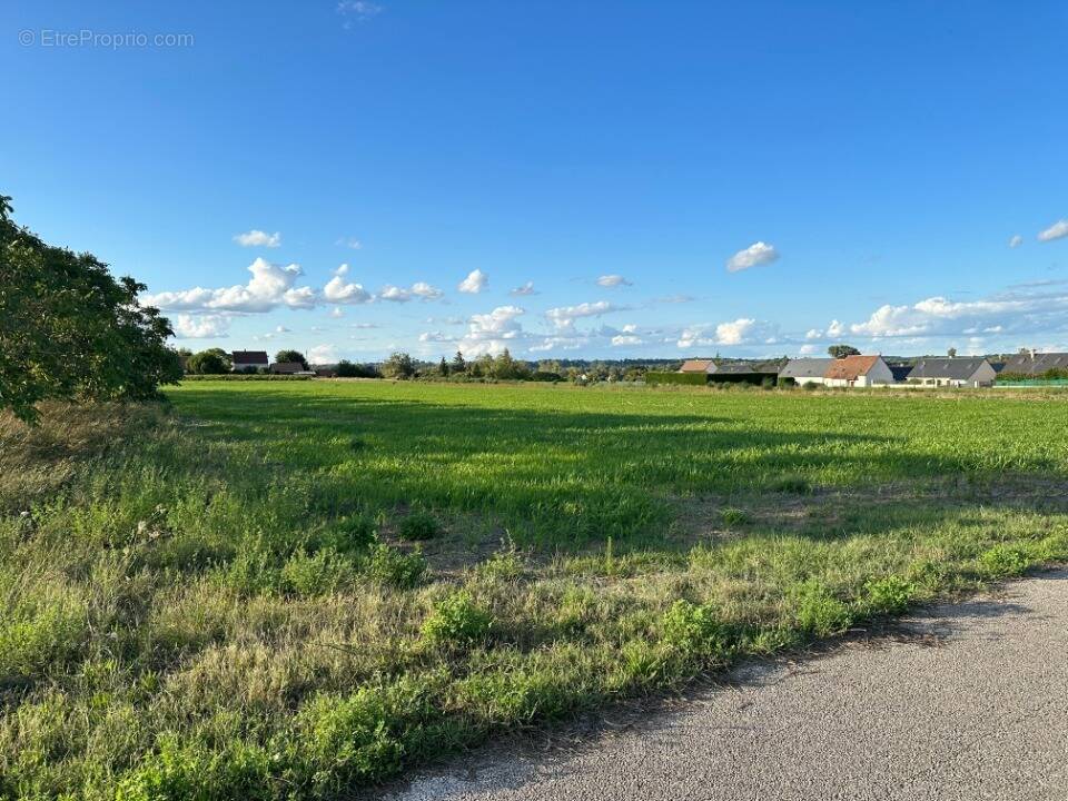 Terrain à LA CROIX-EN-TOURAINE