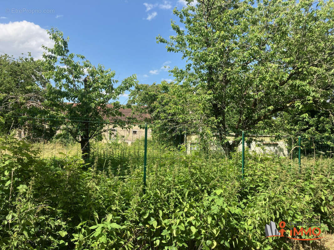 Terrain à SOUGERES-EN-PUISAYE