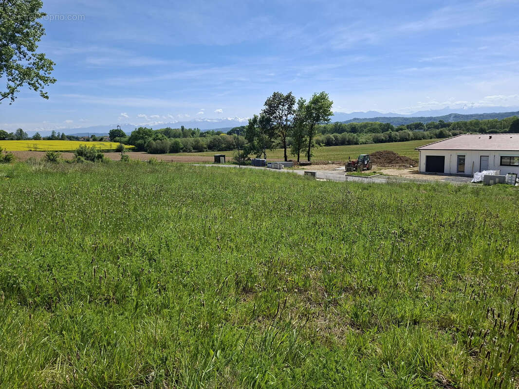 Terrain à LABASTIDE-MONREJEAU