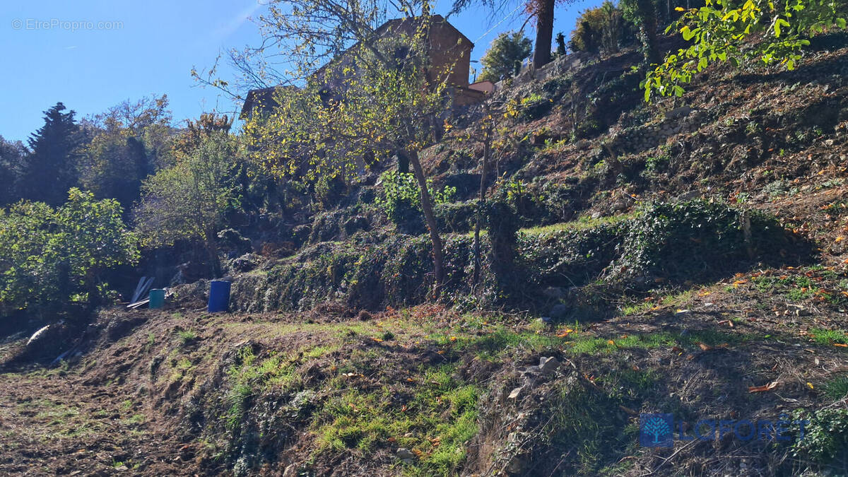 Terrain à CASTILLON
