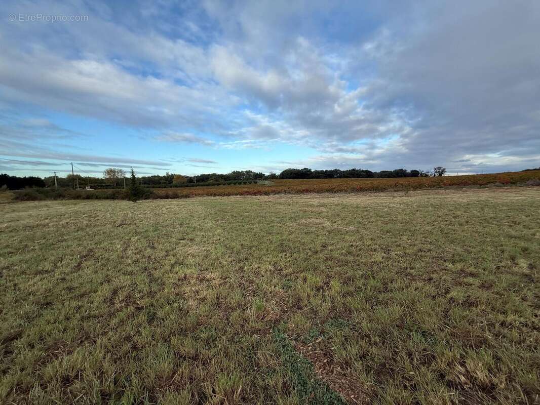 Photo 4 - Maison à VISAN