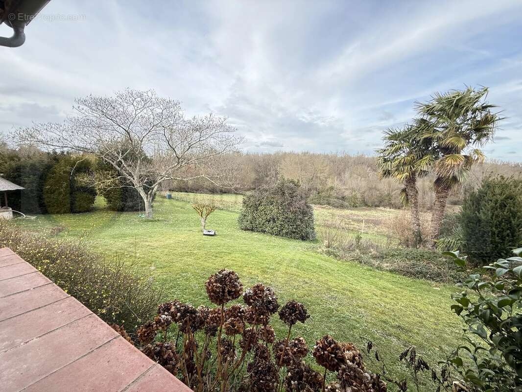 Maison à FONTENILLES