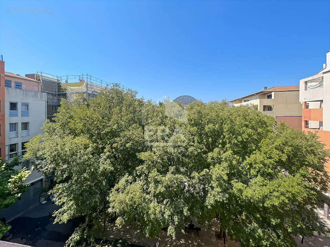 Appartement 53m² à valbonne - photo 11