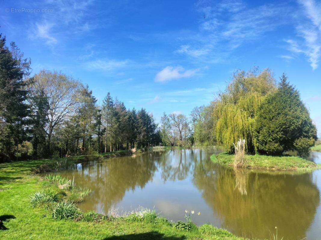 Terrain à SAINT-CYR-EN-PAIL