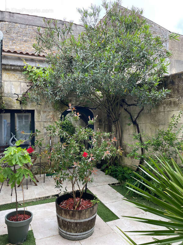 Appartement à ROCHEFORT