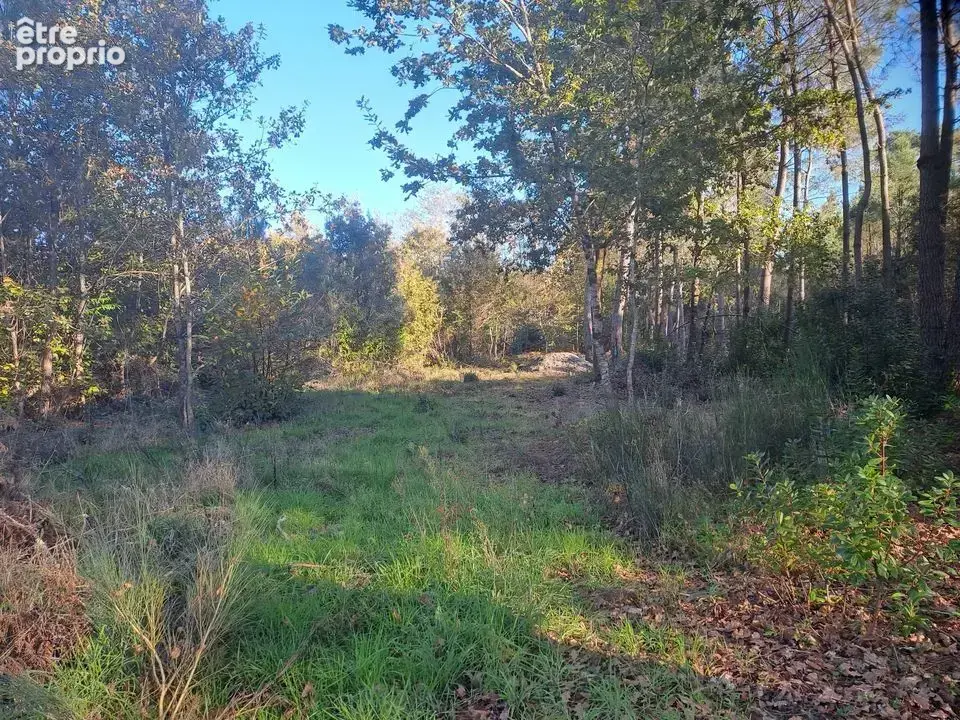 TERRAINS CONSTRUCTIBLES NON VIABILISES ET FORESTIER 4738 m2 ST