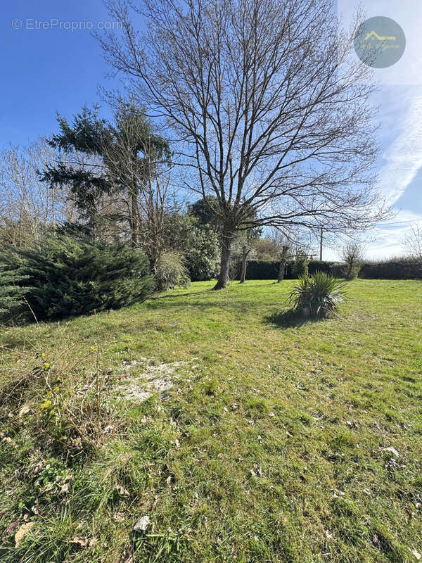 Maison à LORREZ-LE-BOCAGE-PREAUX