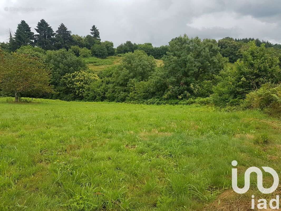 Photo 5 - Terrain à BEAUMONT