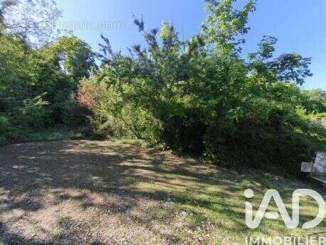 Terrain 517 m² à Malesherbes  - photo 3