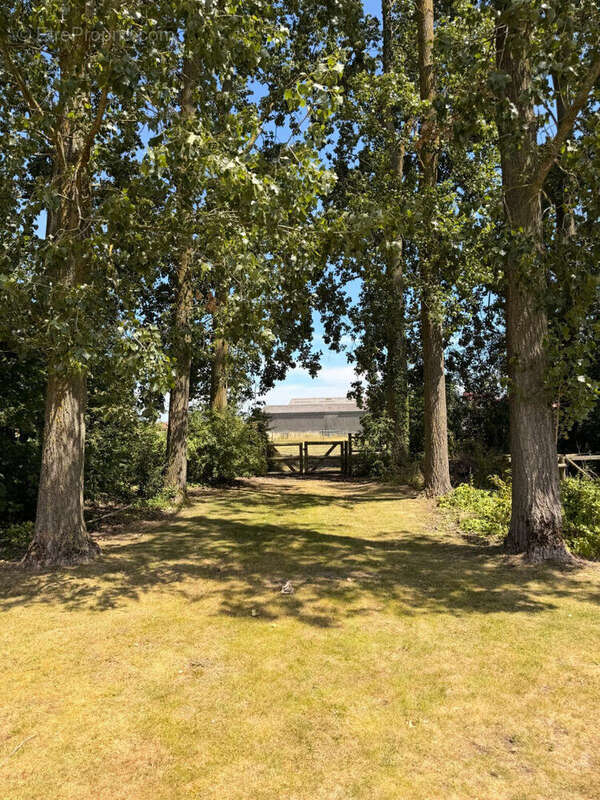 Demeure de caractère au coeur de la Pévèle - photo 23
