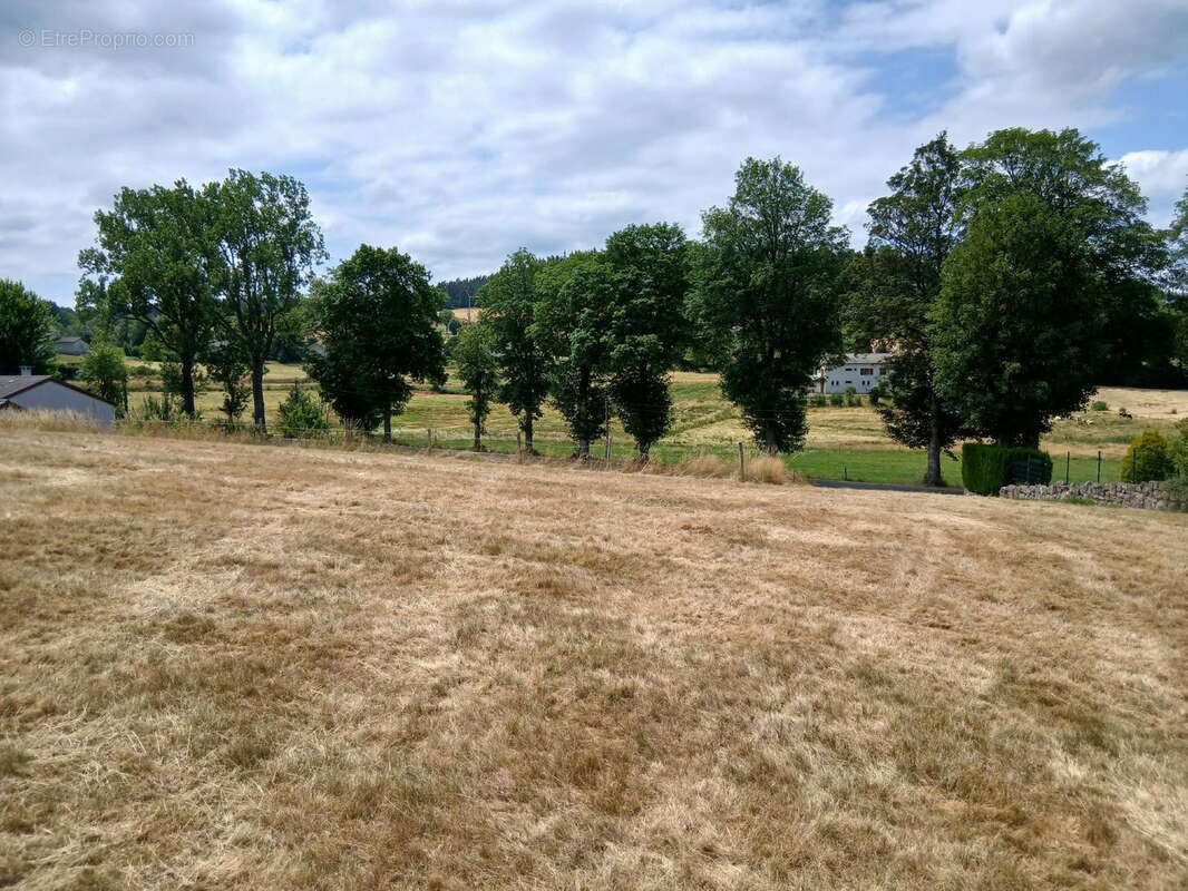 Terrain à TENCE