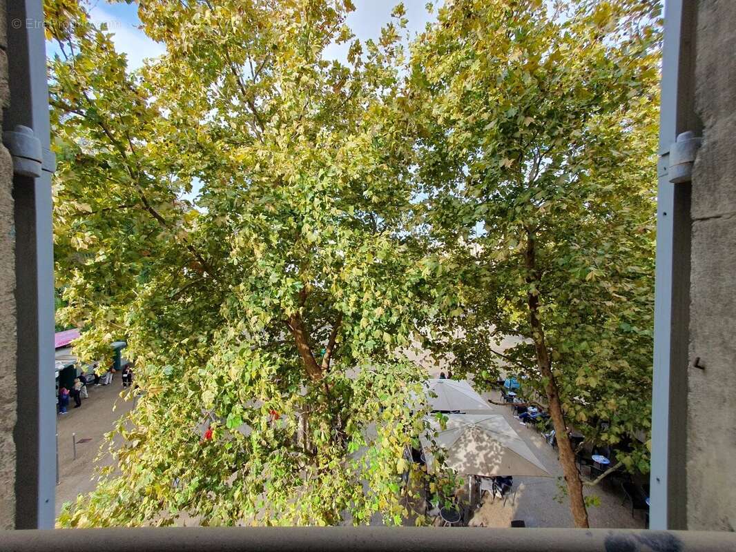 Appartement à AVIGNON