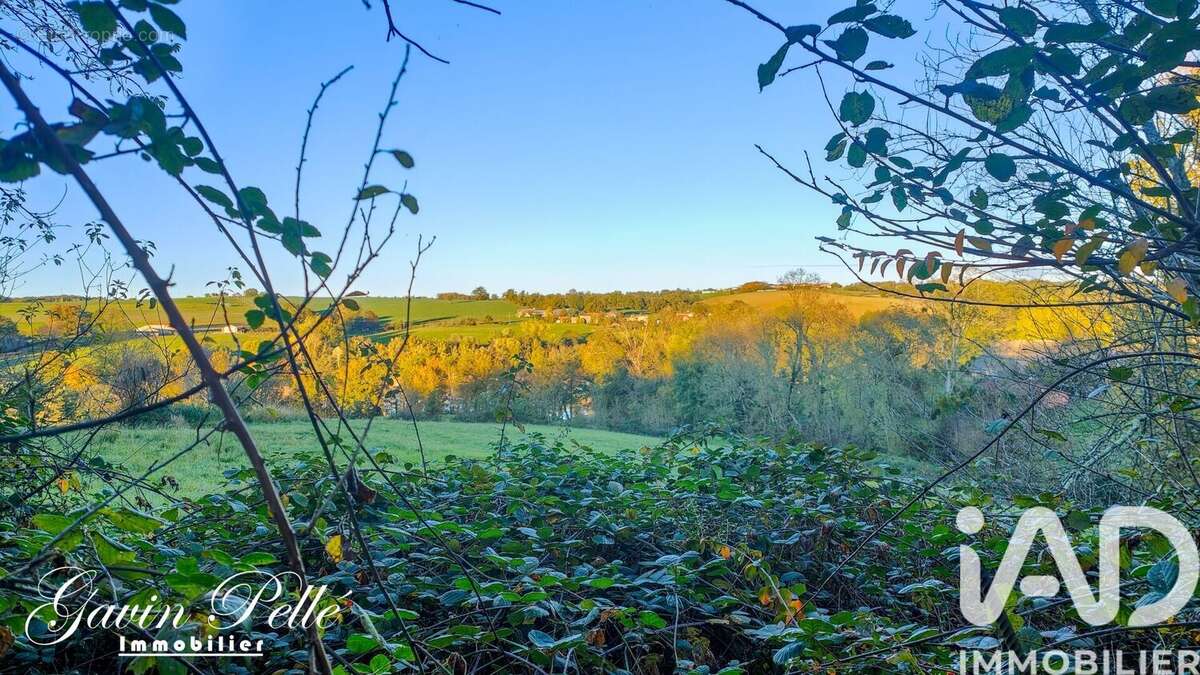 Photo 4 - Maison à MONESTIES