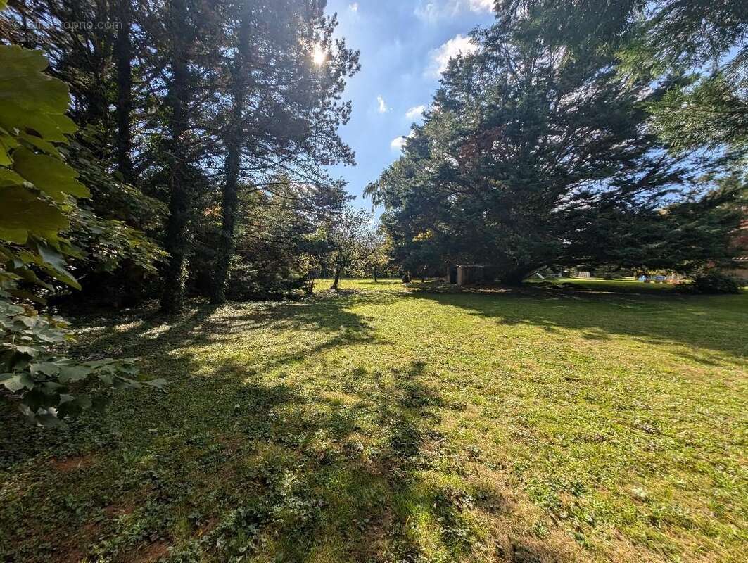 Terrain à MIGNALOUX-BEAUVOIR