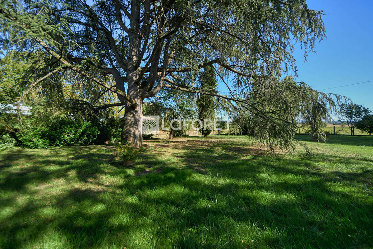 Maison à LISLE-SUR-TARN