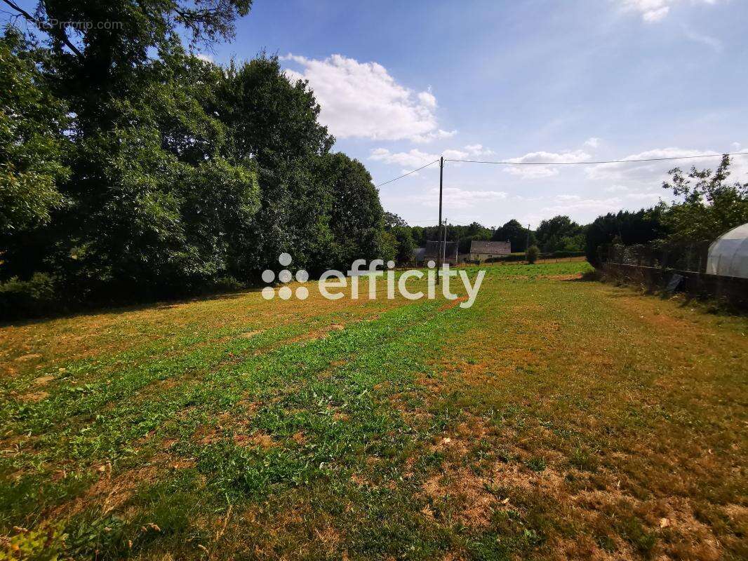 Maison 126 m² à Brecey  - photo 41