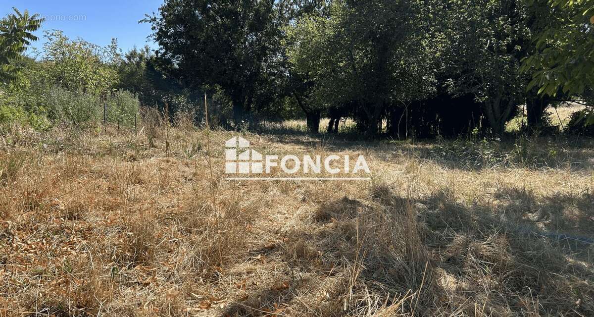 Terrain constructible de 800 m2 - photo 2
