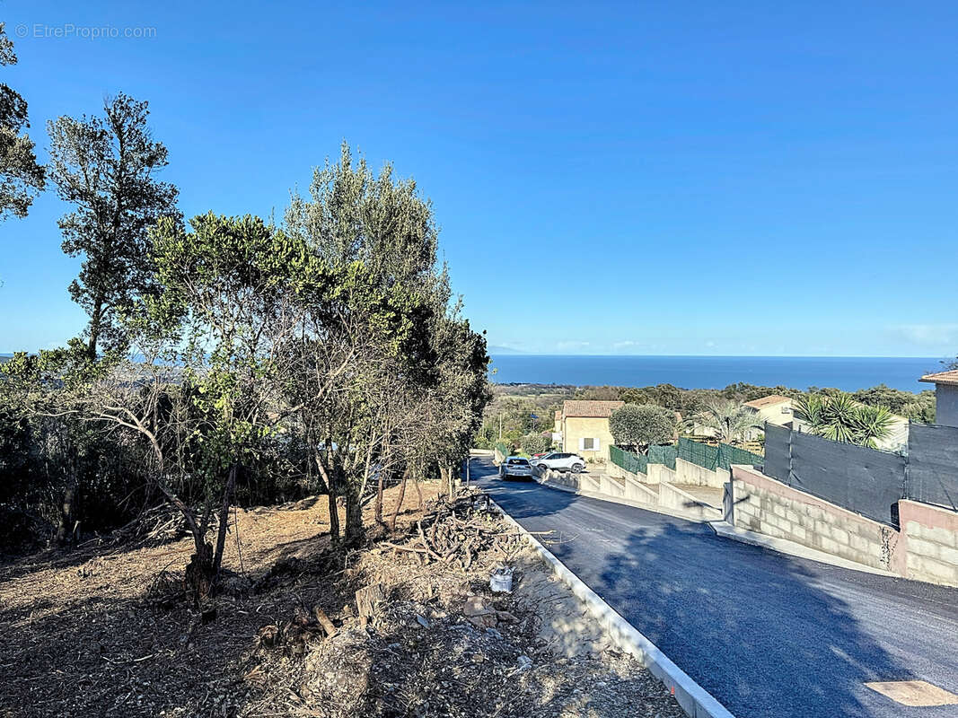 Terrain à SANTA-MARIA-POGGIO