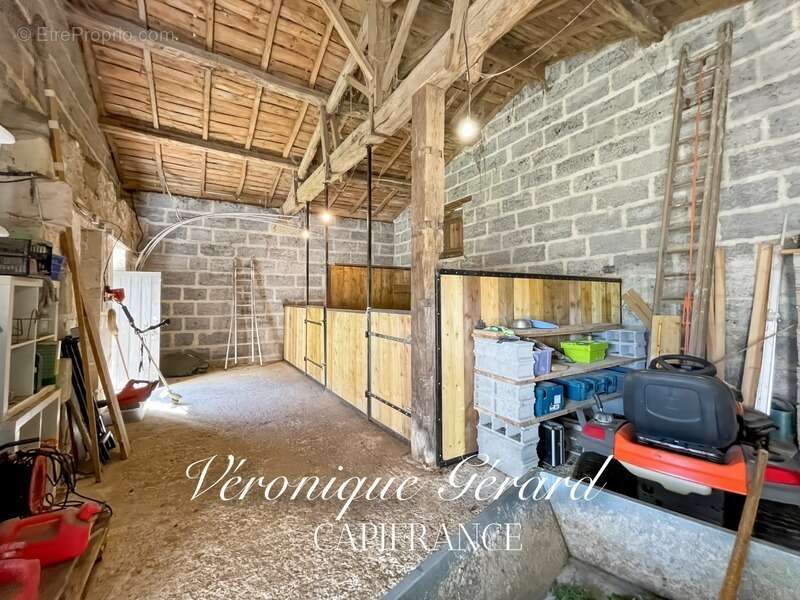 Belle Girondine avec Gîte et boxes pour chevaux à SAINT CHRISTOPHE DE DOUBLE sur 12000M² de terrain - photo 35