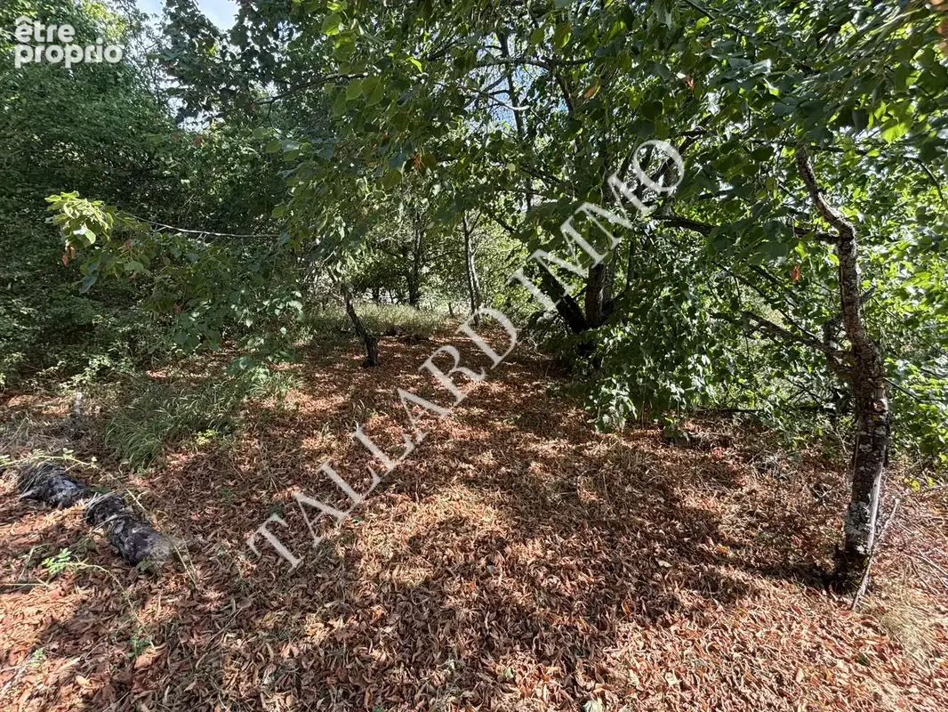 Terrain 1 687 m² à vendre à Tallard (05130) - photo 2
