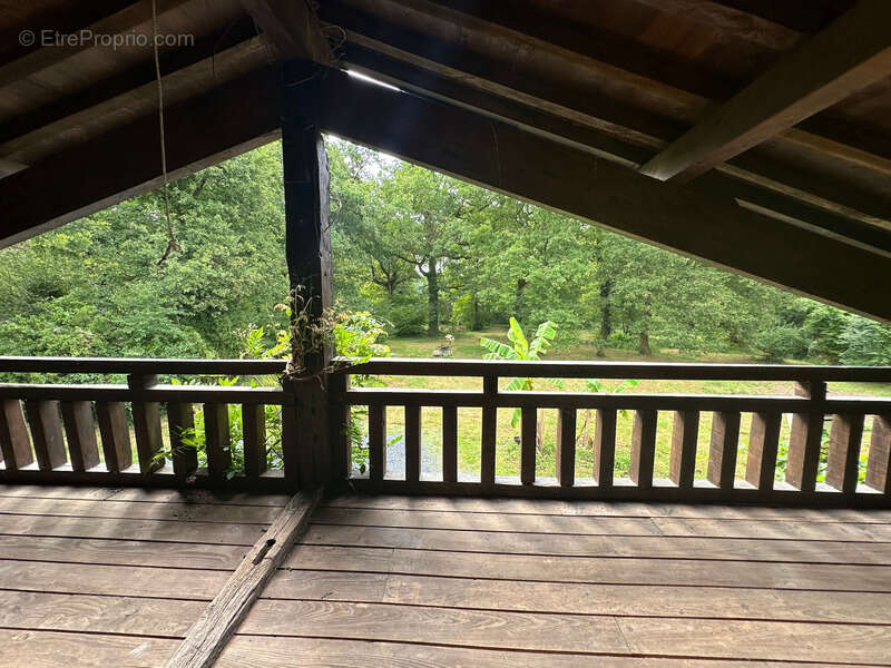 Authentique maison Landaise entierement rénovée avec petite dépendance, ruisseau et mare sur environ 2 Ha - photo 3