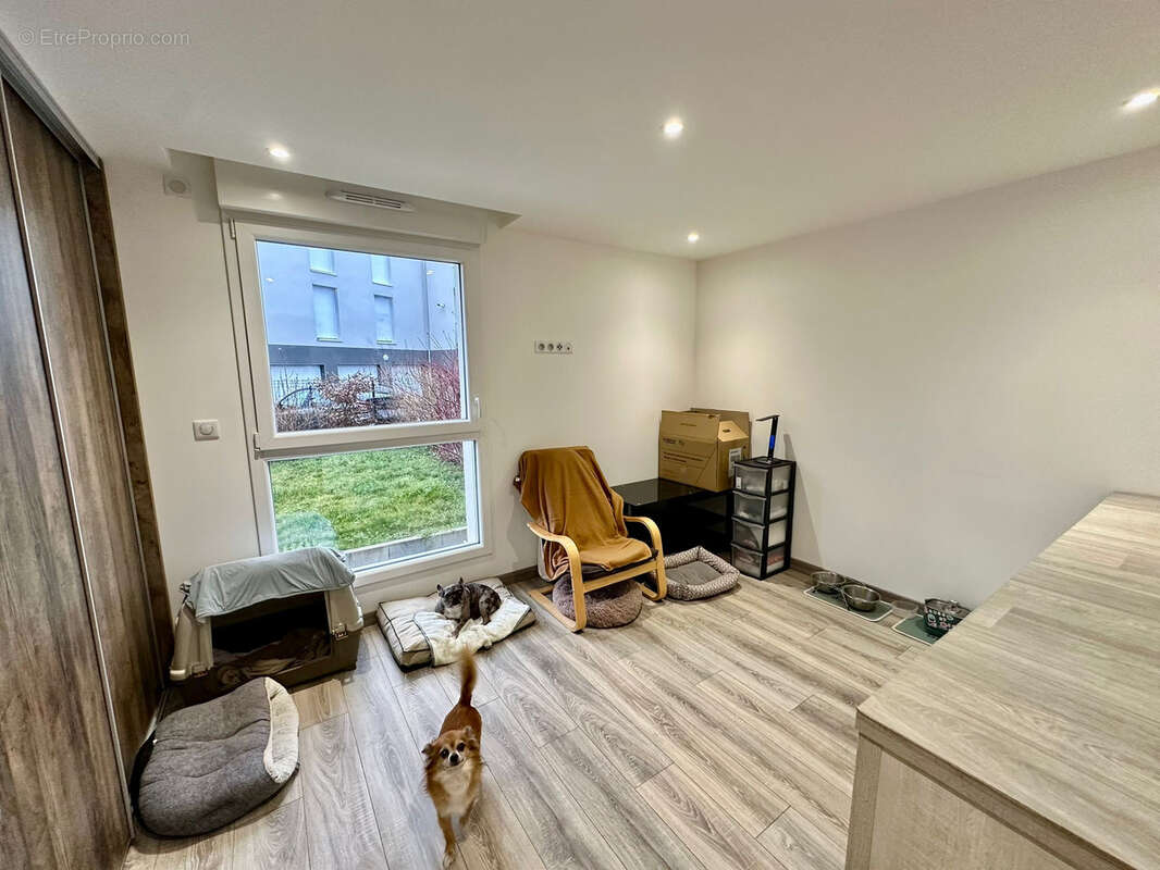 Appartement à BLOTZHEIM