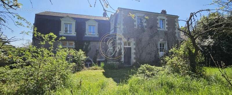 Maison à SAVENNIERES