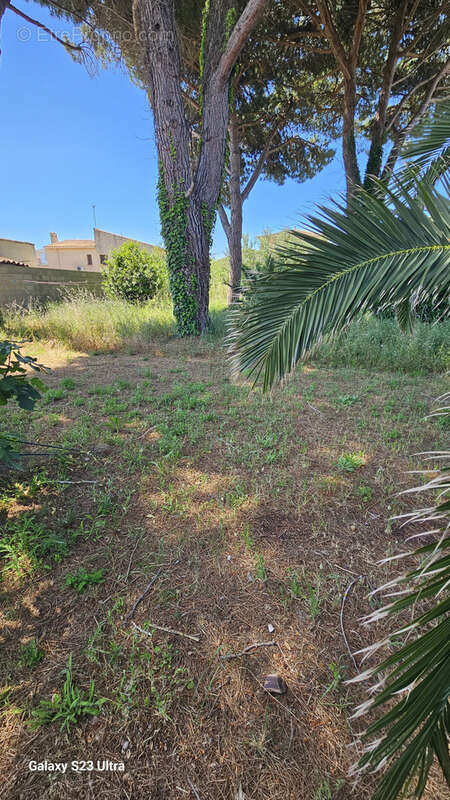 Terrain à AGDE