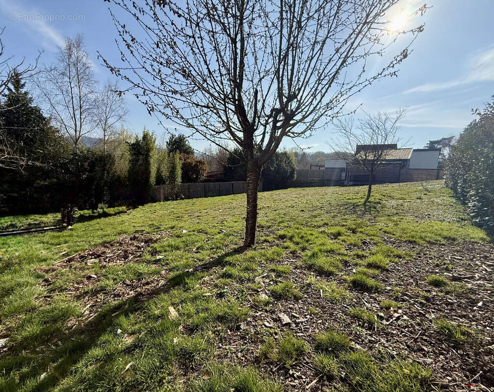 Terrain à LUTZELHOUSE