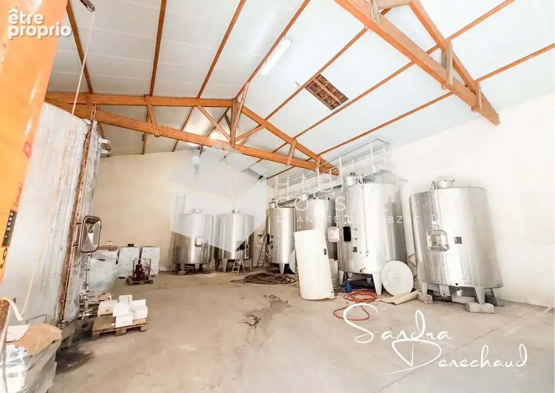 Commerce 300 m² à vendre à Lansac (33710) - photo 3
