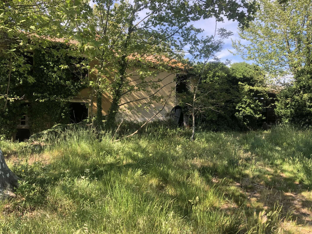 Maison à COURTHEZON