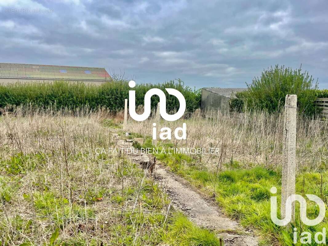 Photo 4 - Maison à BEUVREQUEN