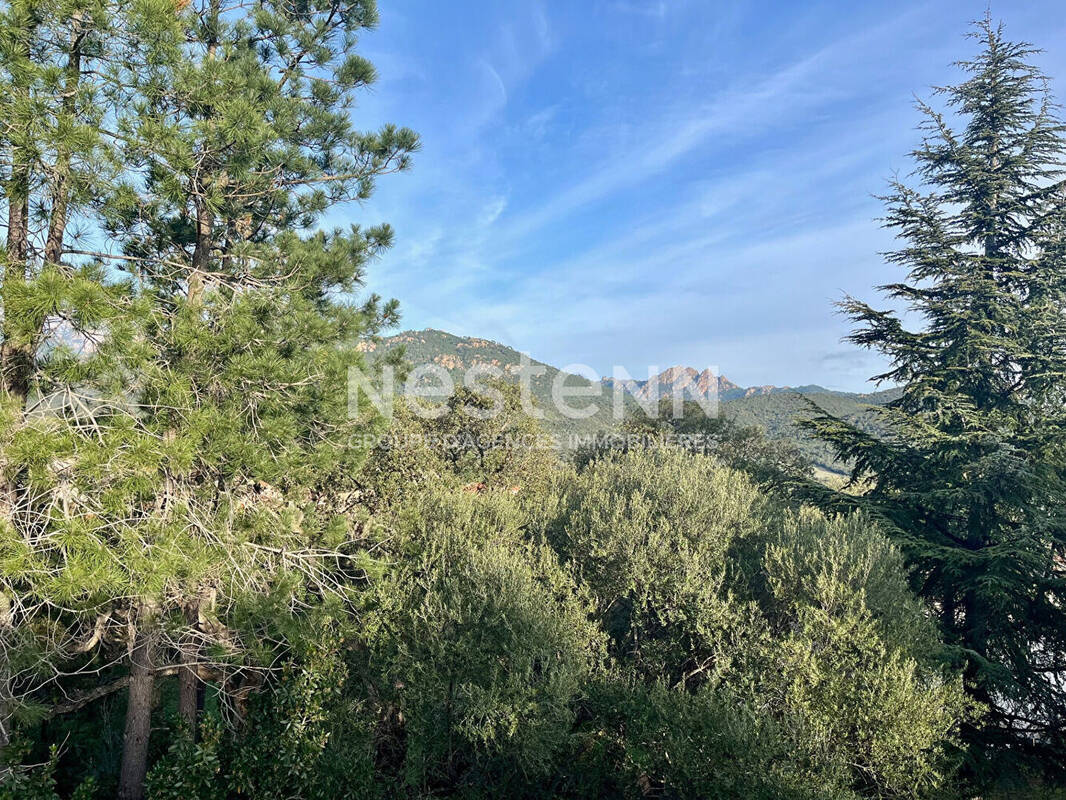 Terrain à ZONZA