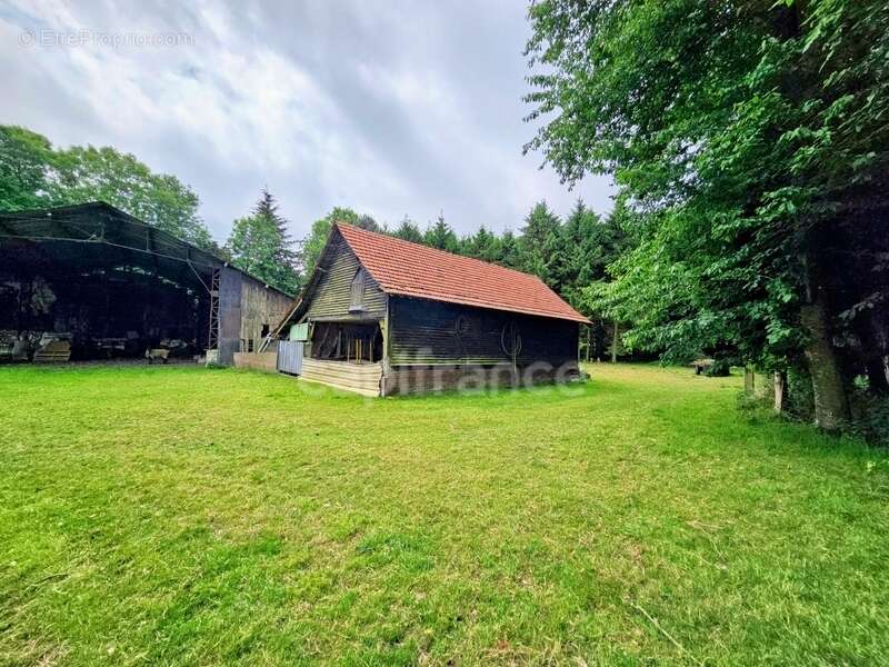 Maison à LE MESNIL-REAUME