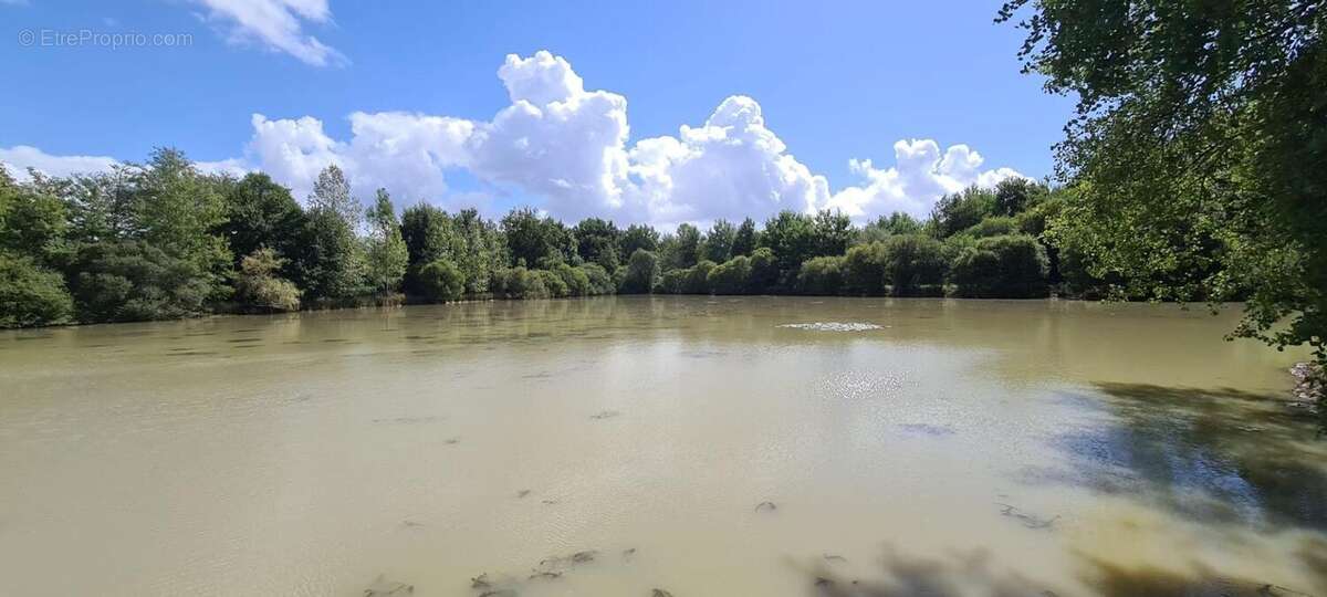 Photo 4 - Terrain à LA PEROUILLE