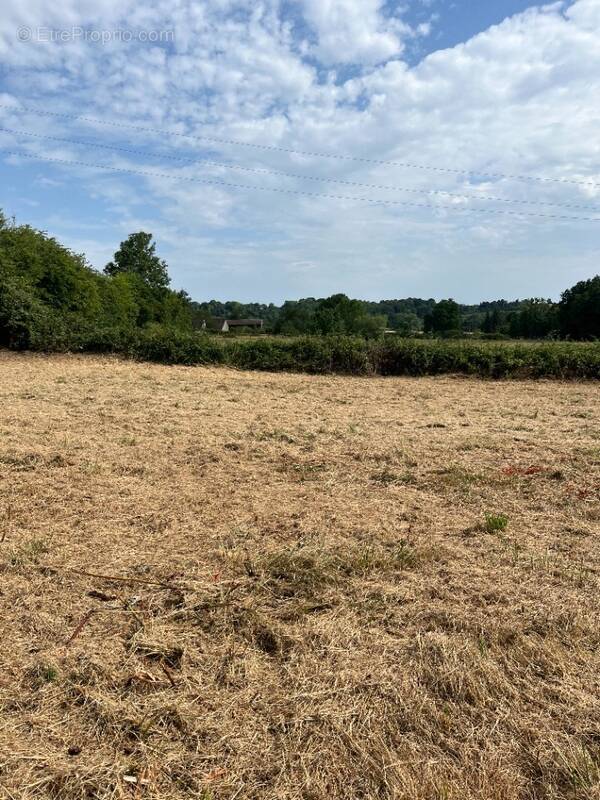 Terrain à ANCINNES