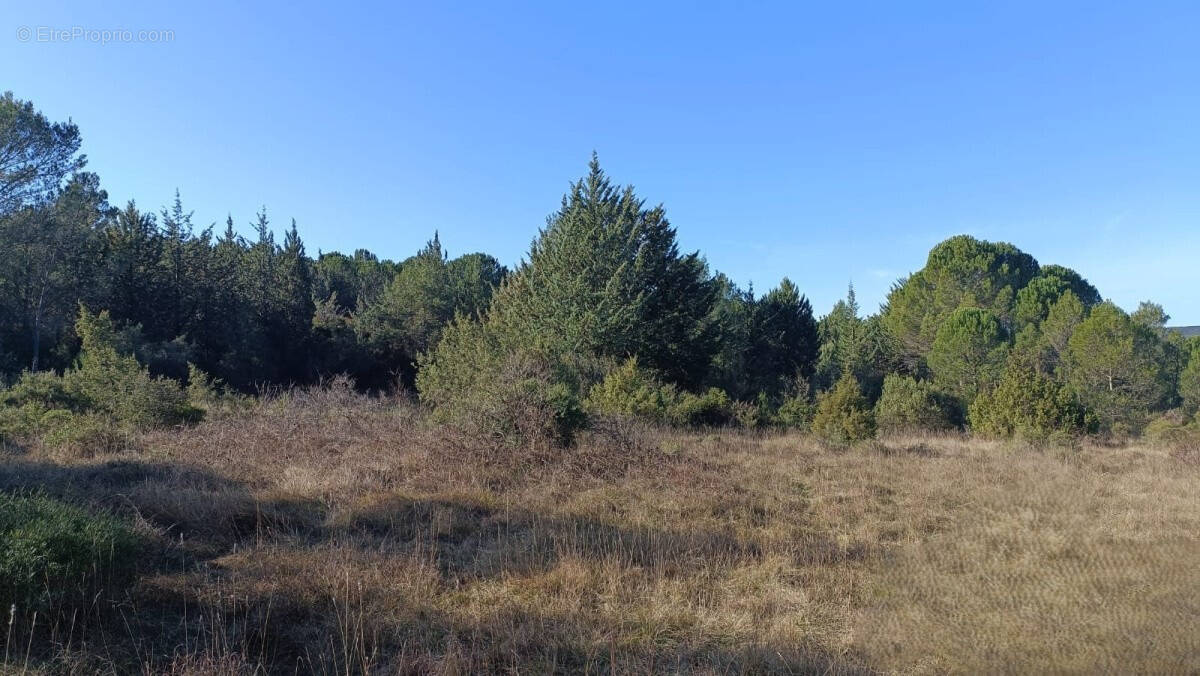Terrain à MONTARNAUD