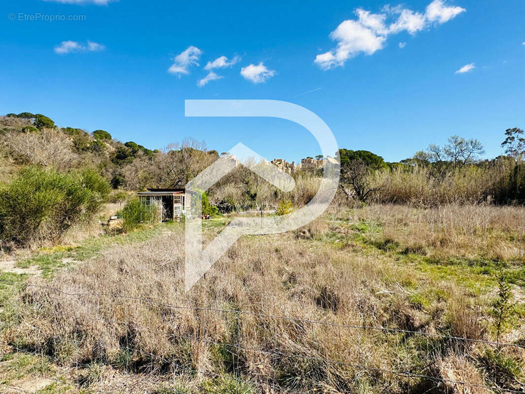 Terrain à ILLE-SUR-TET