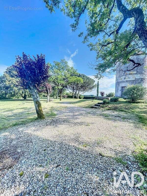Maison 40 m² à Engayrac  - photo 4