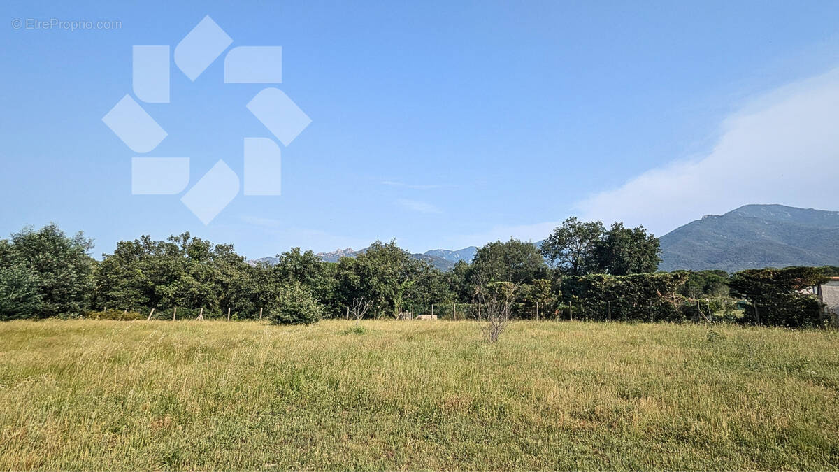 Terrain à LAROQUE-DES-ALBERES