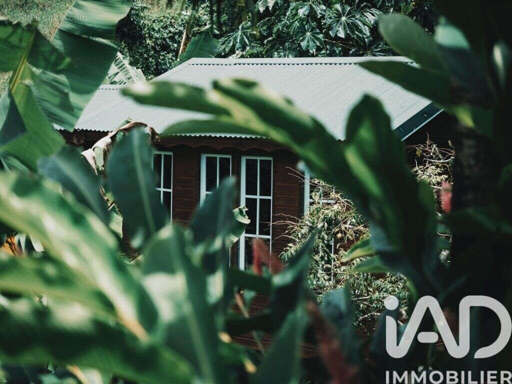 Photo 2 - Maison à RIVIERE-PILOTE