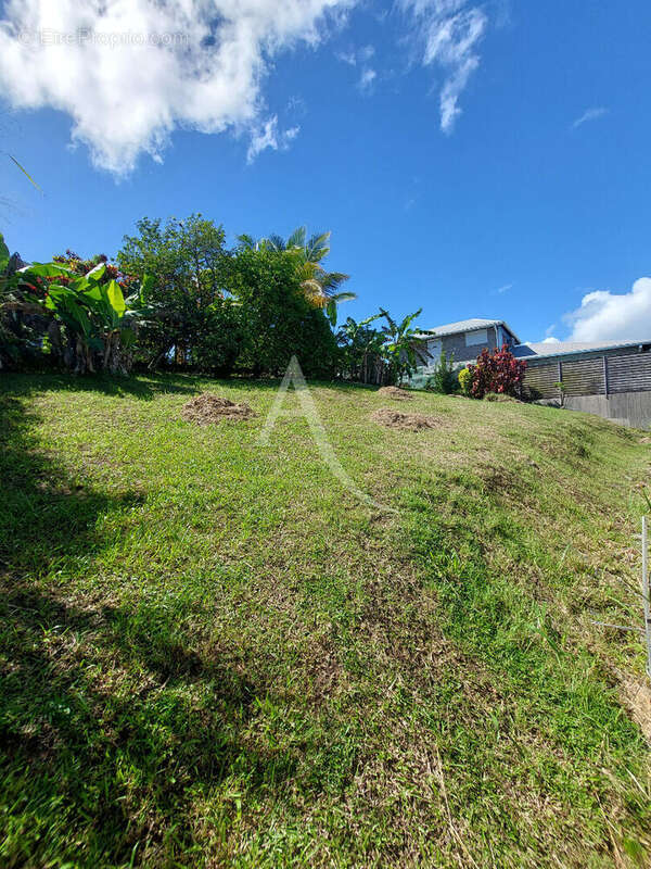 Maison à RIVIERE-SALEE