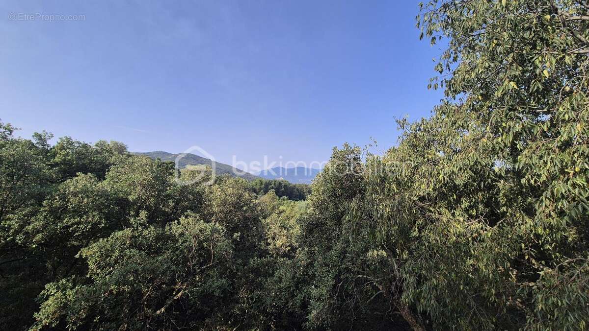A vendre propriete mas de 170m² sur terrain de 12944m² cloture - le boulou - six chambres - climatisation reversible - garage -  - photo 27