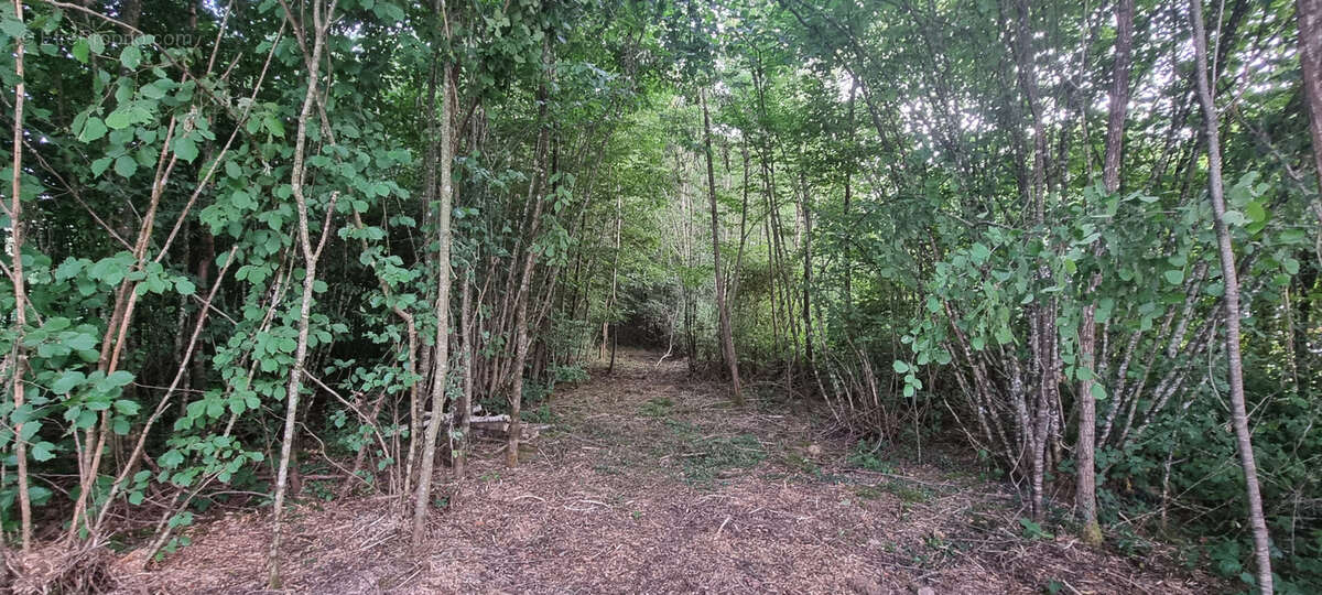 Terrain à LA SELLE-EN-HERMOY