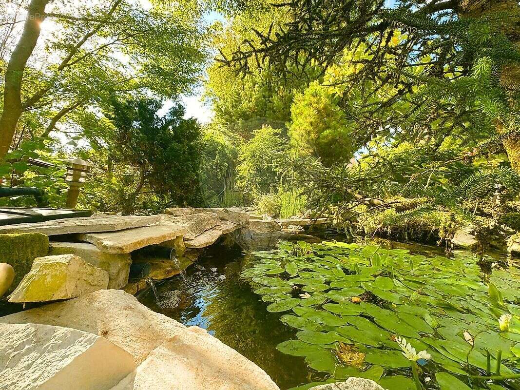 Maison à SAINT-WITZ